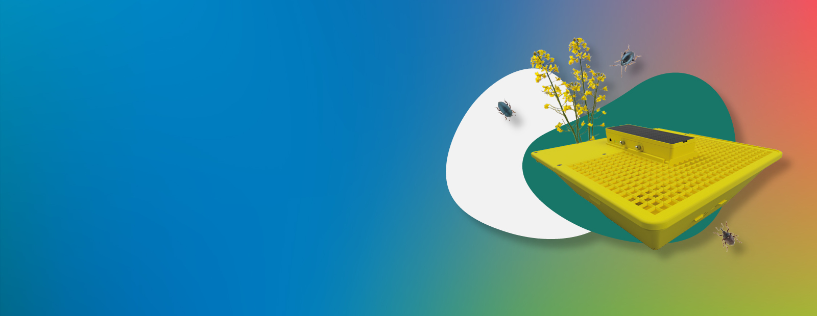 Bayer MagicTrap: Die digitale Gelbschale